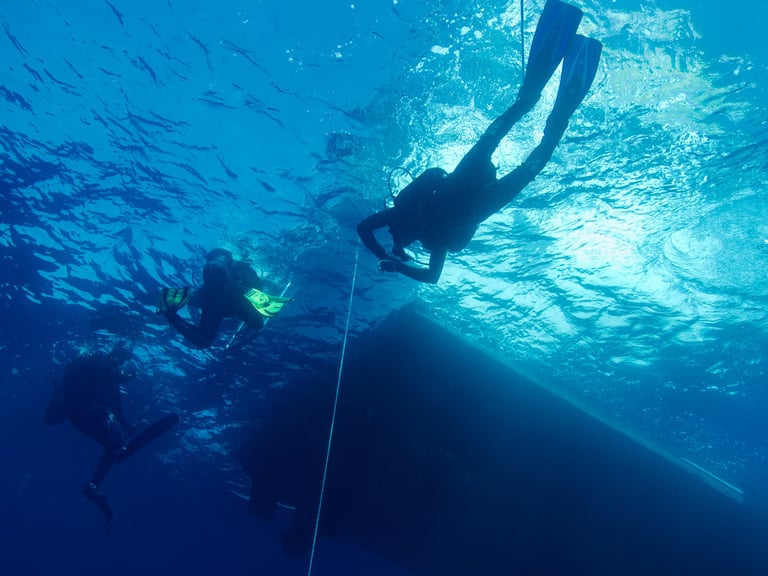 Divers ascending to the surface after a wreck dive